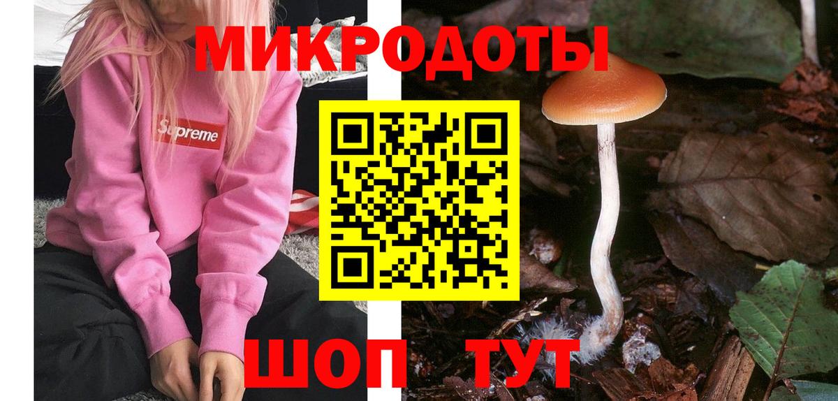 Псилоцибиновые грибы мухоморы  Вход с VPN  Усть-Илимск  купить наркоту  Псилоцибиновые грибы Psilocybine cubensis 