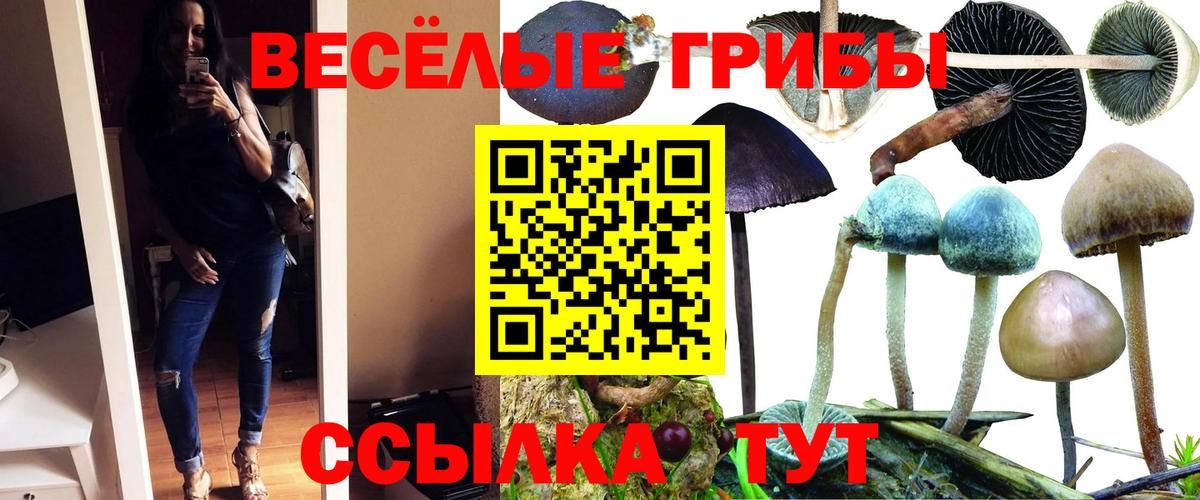 Псилоцибиновые грибы ЛСД Усть-Илимск